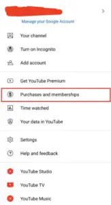 3 Months of YouTube Bliss: Crack the Code to Ad-Free Binge Watching (It’s Free!)