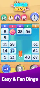 Is Bingo Wish Legit? Let’s See The Facts