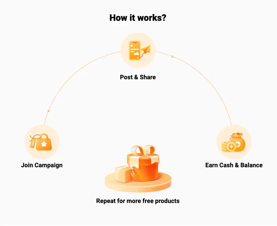 How Temu influencer program works?