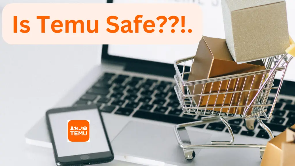 safe for Temu - online shopping image